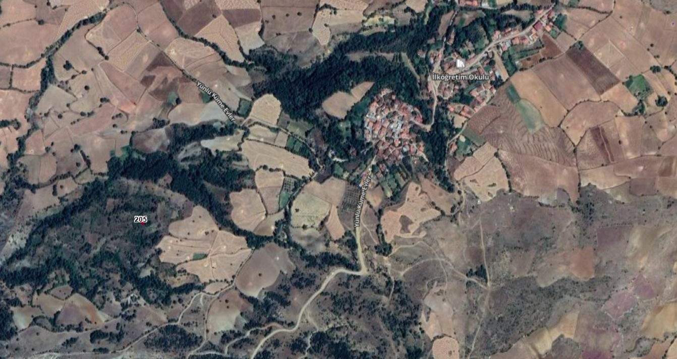 TOKAT ZİLE YÜNLÜ  KÖYÜNDE  200  M² BAĞ  SATILIKTIR - TOKAT ZİLE fotoğraf 3